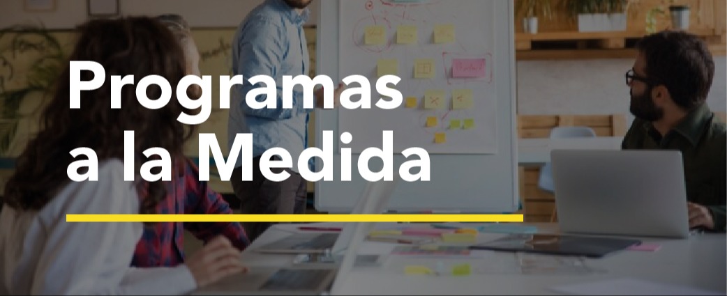 soluciones_desarrollo_index_Mesa de trabajo 1 copia