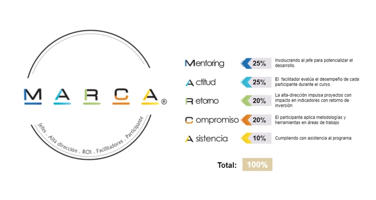metodologia-marca