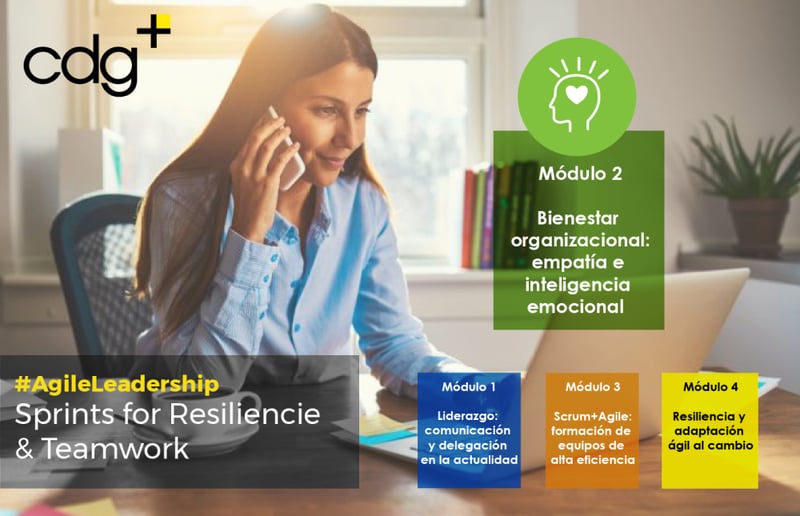 habilidades-gerenciales-y-capacitaciones-integrales